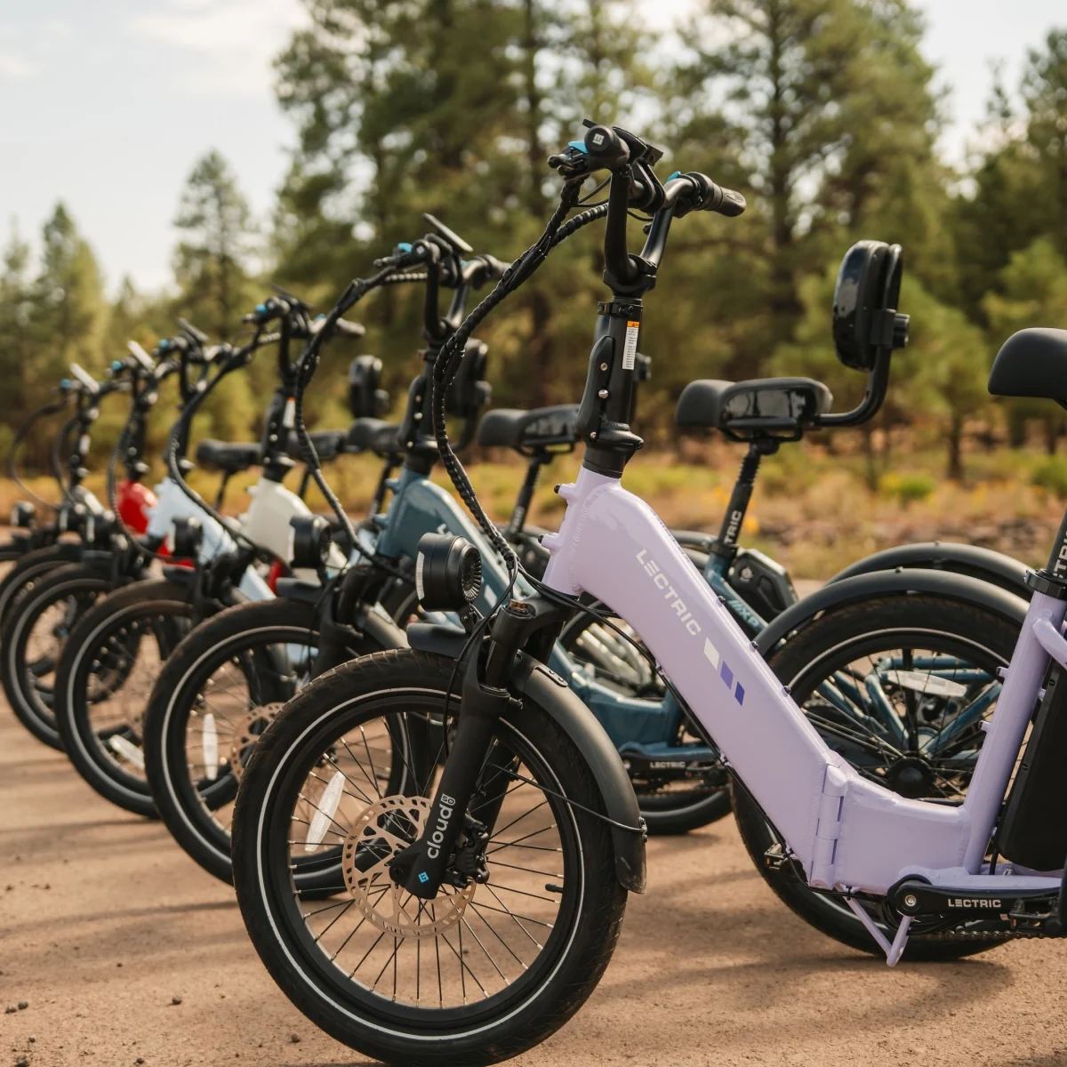 XP Trike2 750 Lavender Haze eTrike - Image 6